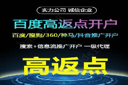 百度移动端应用推广策略探讨